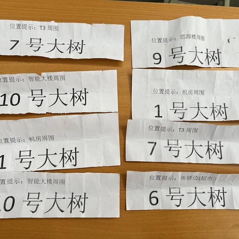 “你好，树先生”