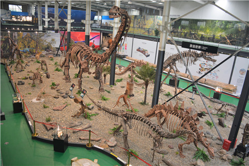 天地万物，演化寻踪