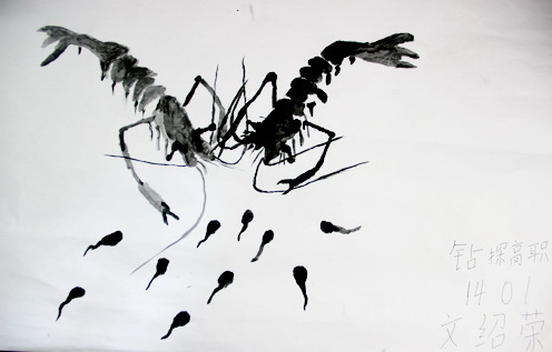 【绘画】《虾》