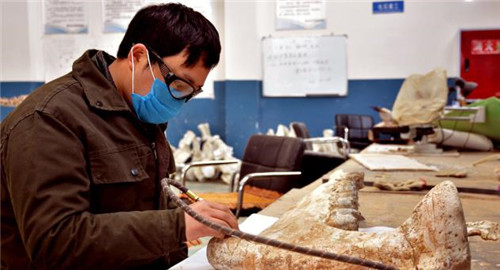 006 化石修复.jpg