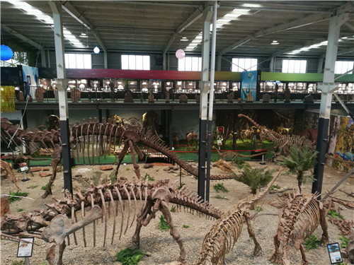 005 天演博物馆内景（局部）.jpg