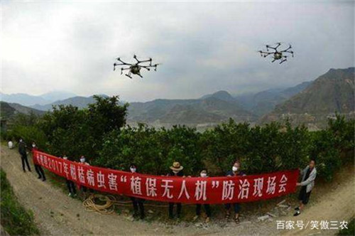 图11. 无人机植保.jpg