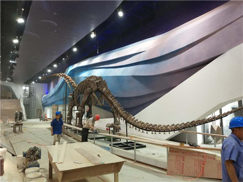 008 装架马门溪龙骨架.jpg